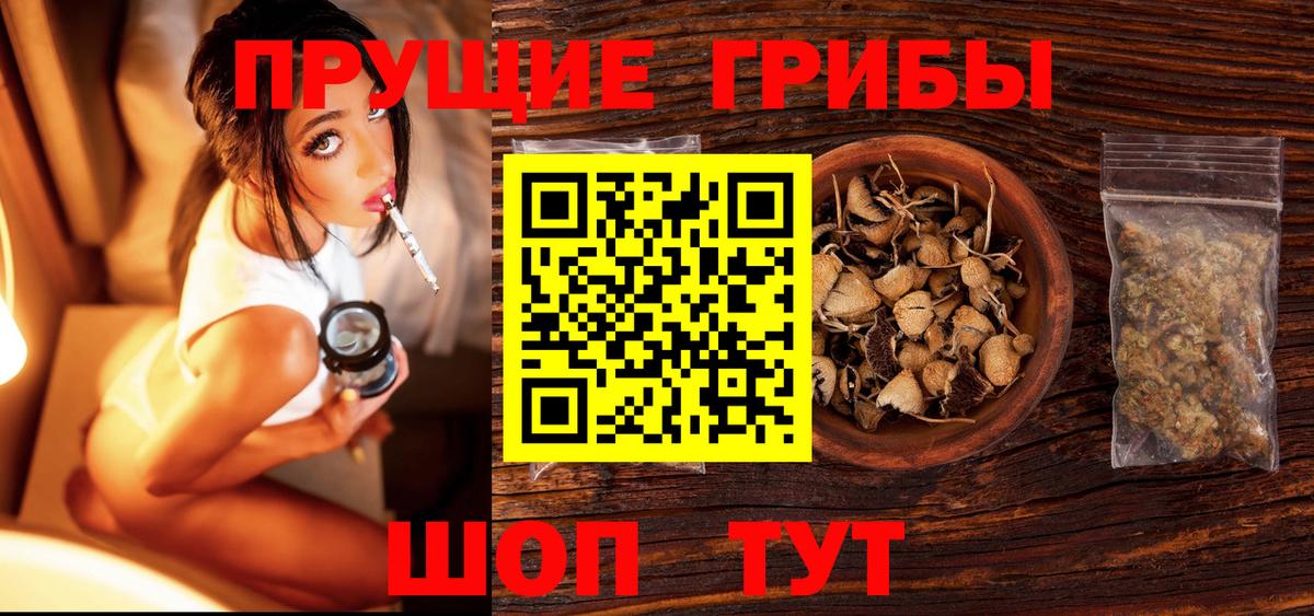 Псилоцибиновые грибы Magic Shrooms  Вход с VPN  Красный Сулин 